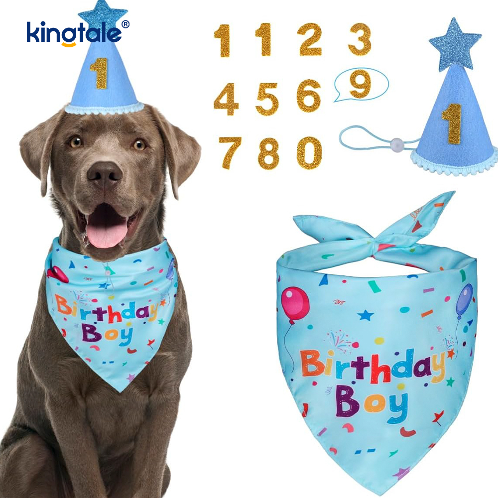 Pet narozeniny Bandana Set