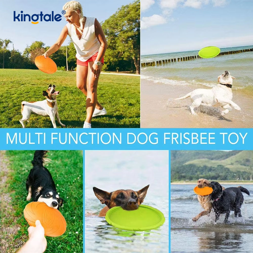 Domácí Frisbee