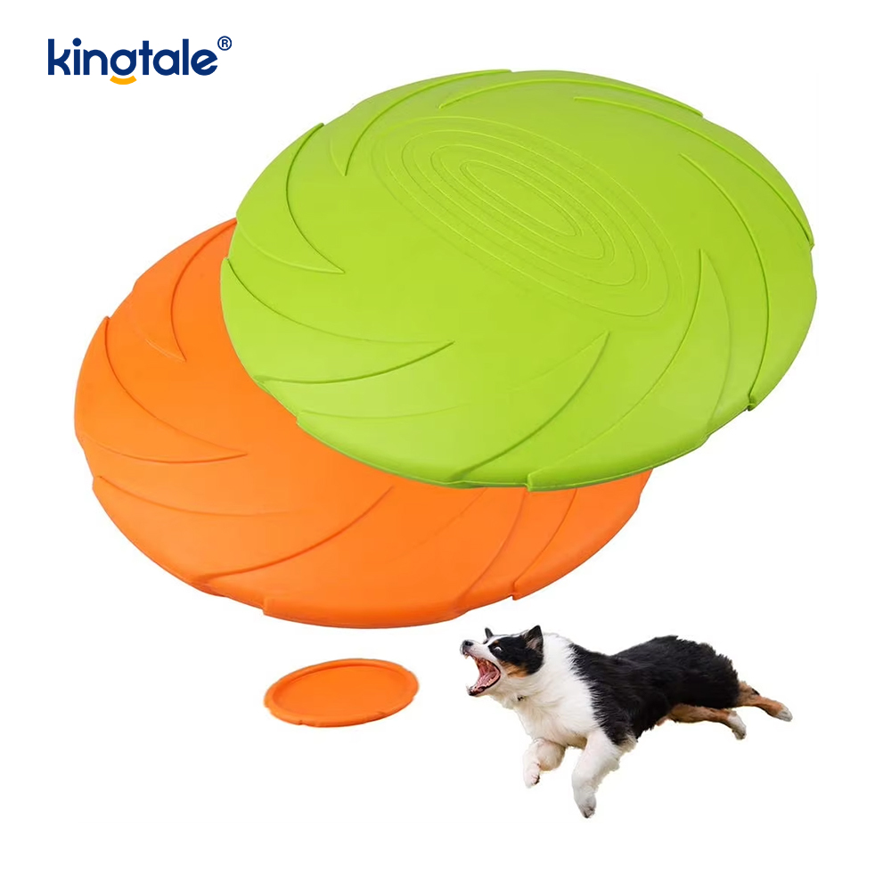 Domácí Frisbee