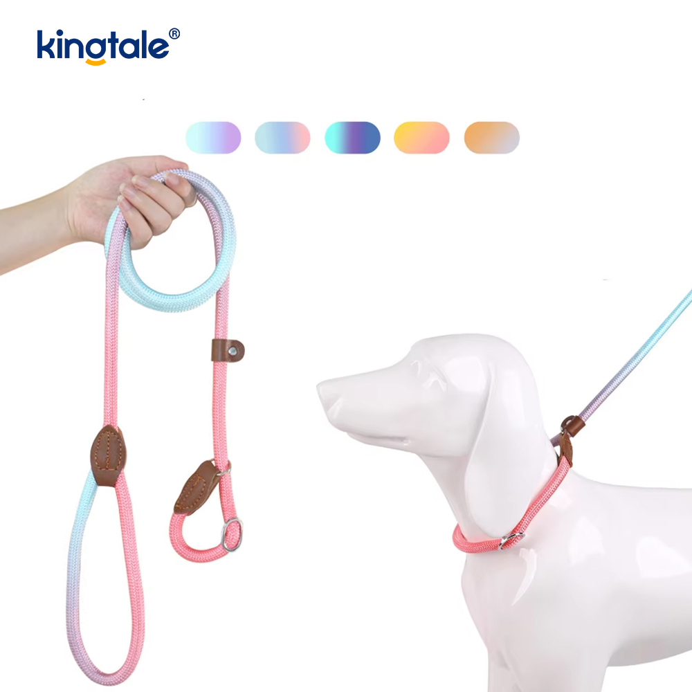 Macarons Slip Dog Leash