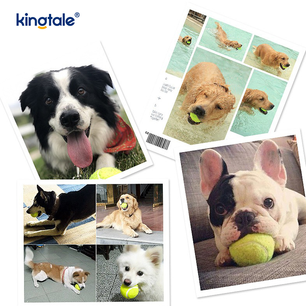 Pet Toy Tennis Odolný a odolný proti kousnutí pro Pet Chew Exercise Interactive
