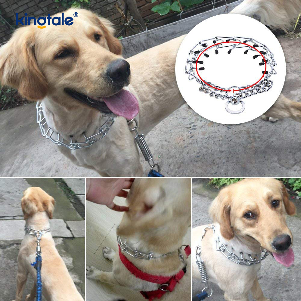 Pet Pinch Choke Collars Obojek pro výcvik psů z uhlíkové oceli Kovový hrot