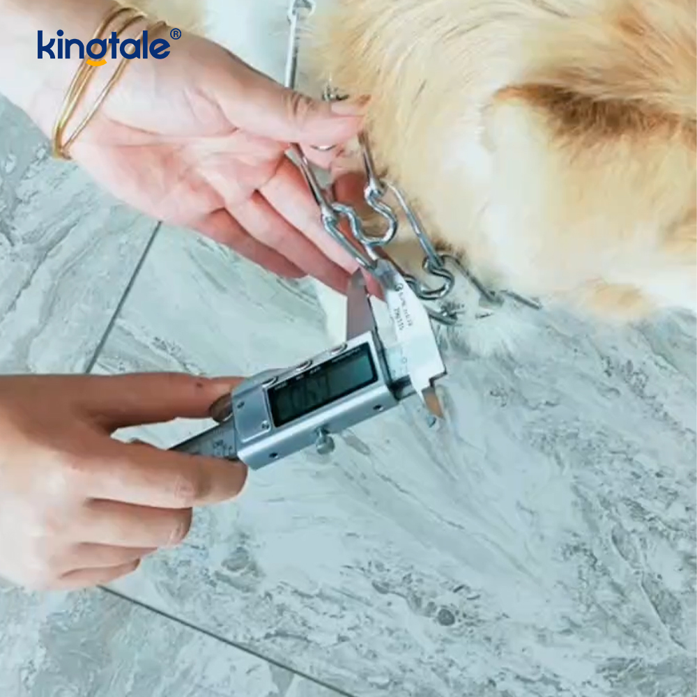 Pet Pinch Choke Collars Obojek pro výcvik psů z uhlíkové oceli Kovový hrot