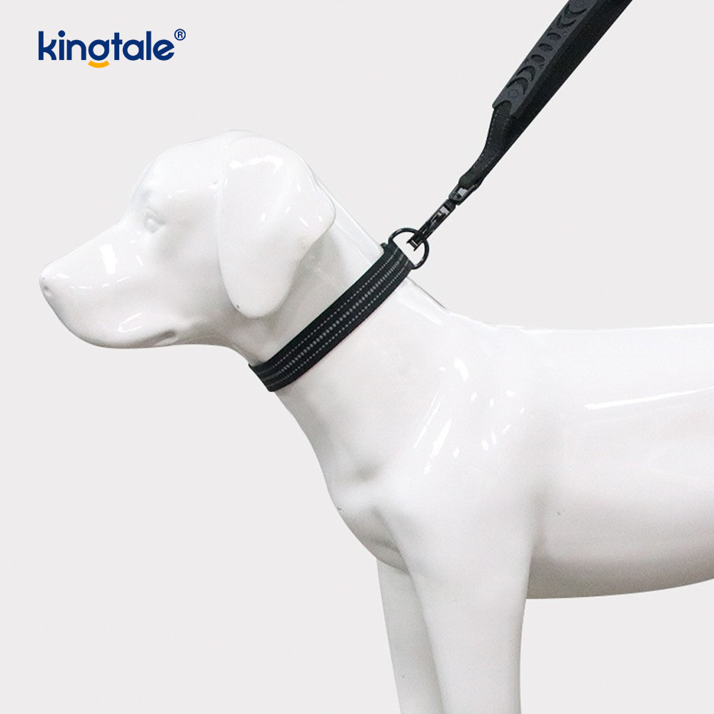 Reflexní No Pull Heavy Duty Tactical Psí obojek Leash Bungee Vodítko