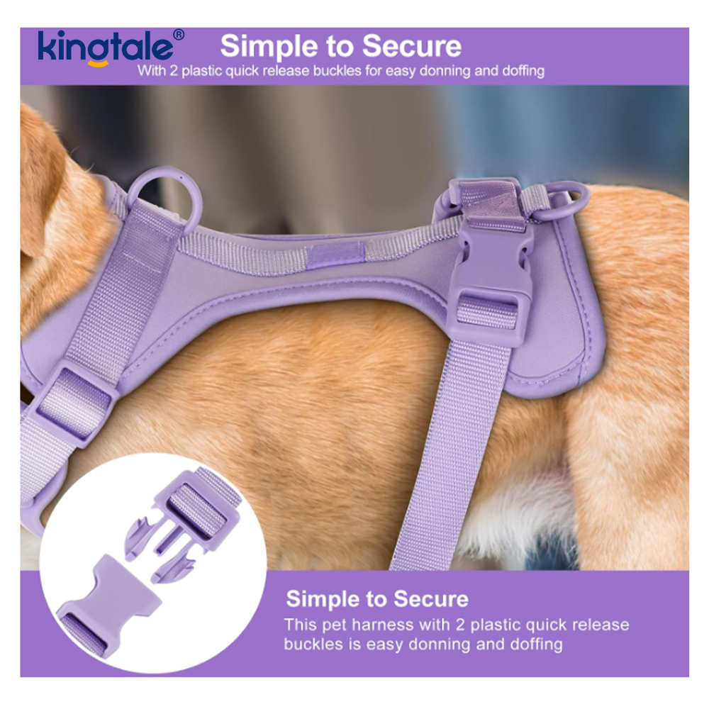 Custom Pet Adjustable Pvc No Pull Lehký obojek s vodítkem pro psy