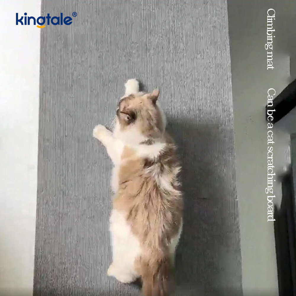 Samolepicí koberec Cat Scratching pro náhradní podložky na ochranu nábytku